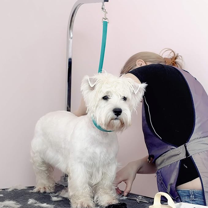 Jelly Pet Grooming Loop Slip Style (3/8" x 25", Teal) | Made in The USA
