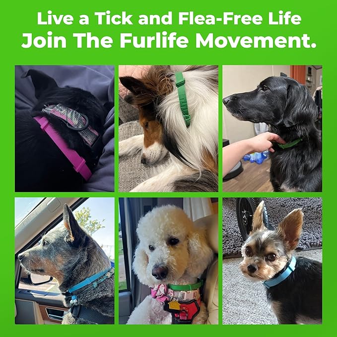 FurLife Flea and Tick Collar for Dogs – Waterproof Red Dog Collar, Pet Supplies for Tick and Flea Prevention for Dogs, Safe for All Breeds