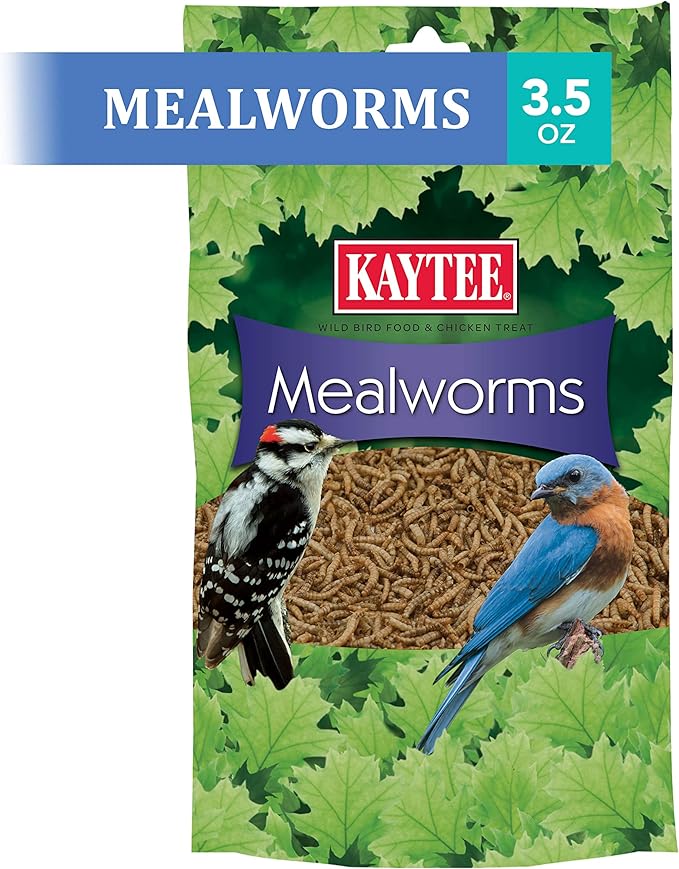 Kaytee Wild Bird Food Mealworms For Bluebirds, Wrens, Robins, Chickadees, Woodpeckers, Cardinals & Chickens, 3.5 Ounce