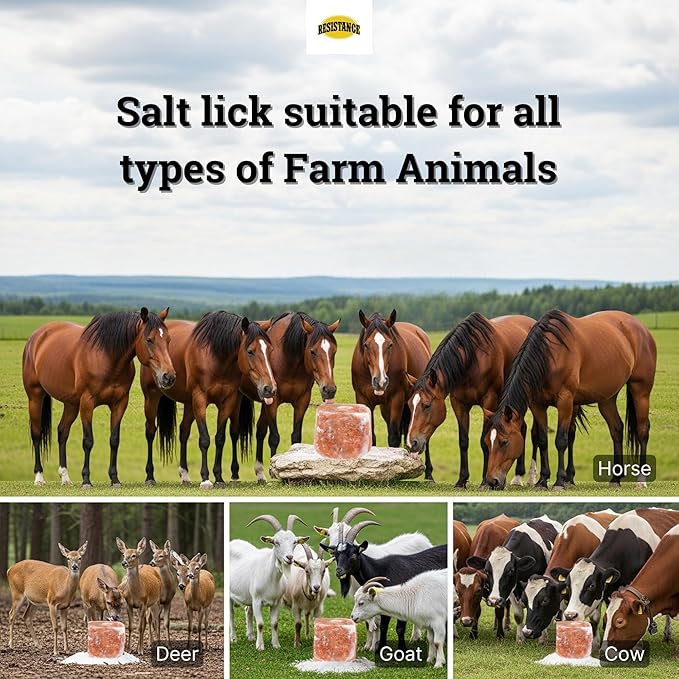RESISTANCE Himalayan Salt Lick 2lb Block on Rope for Horses, Cattle, Deer, Goats, and Livestock – Pack of 10 Blocks
