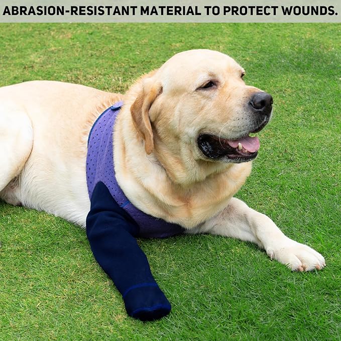 COODEO Dog Socks to Prevent Licking Paws, Healing Boots & Paw Protectors with Non-Slip Bottoms for Wound Protection, Waterproof Sleeve Shoes for Licking（Purple，3XL_Right