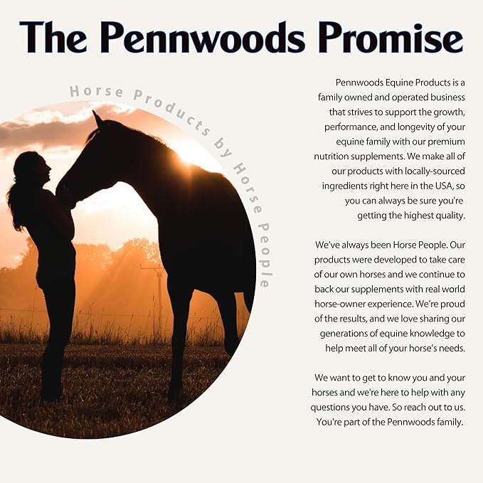 Pennwoods GI Renew Show, Probiotics for Equine, Immune and Appetite Stimulation, Prebiotics, Digestive Enzymes | Horse Supplement Providing Ulcer Relief and Treatment, Organic Toxin Binder, 6 LB Bag