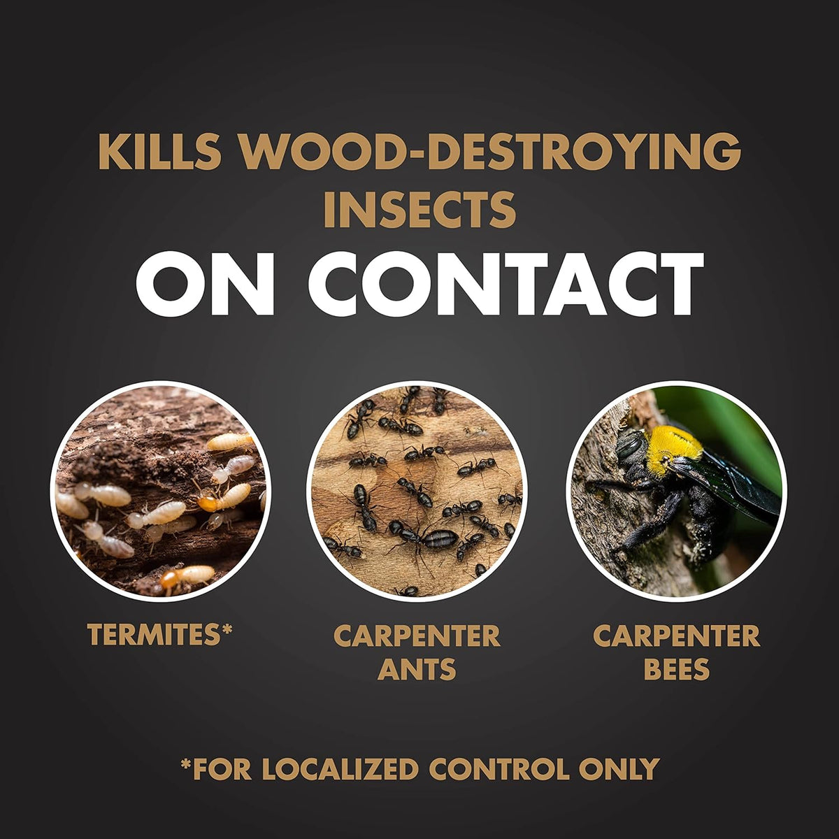Spectracide Terminate Termite & Carpenter Ant Killer, Localized Control Termite Spray, Kills Wood-Destroying Insects , 1.33 Gallon (RTU Spray)