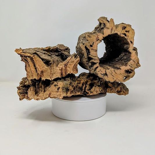 Virgin Cork Bark - for Orchids, Airplants, Reptiles, and Terrariums (8 Ounces), brown