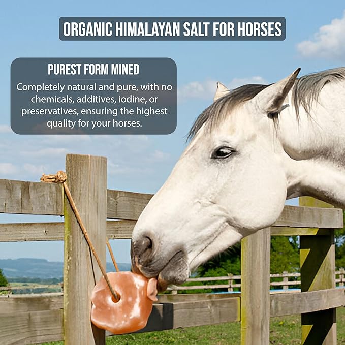 New 8 lbs Animal Himalayan Salt Lick on Rope for Horses, Deer, Rabbits, Cows and Other Livestock | Lick Salt for Deer | Digestive Aid for Animals | Horse Treats (8 lbs)