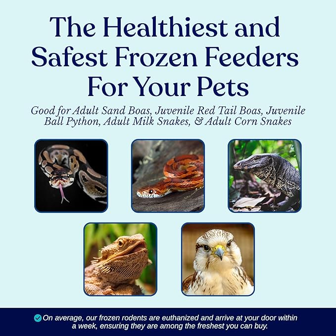 MiceDirect EST. 2003 40 Frozen Mice Small Adult Feeders Snake Food for Juvenile Red Tail Boas Ball Pythons Adult Sand Boas Milks Corn (2.5-3 in) (760 Grams Min)