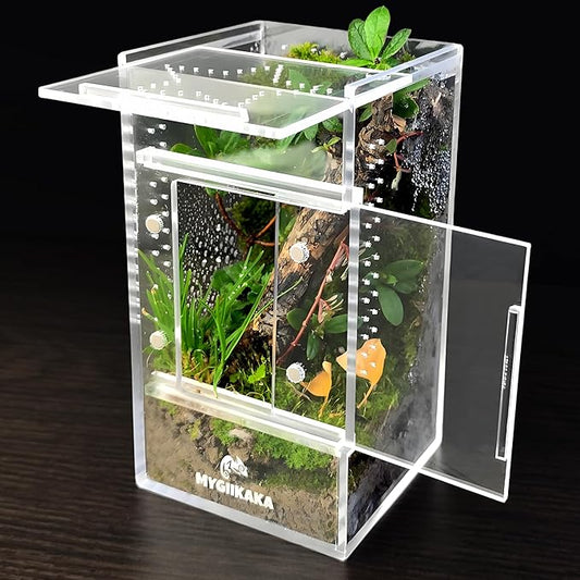 Jumping Spider Enclosure Accessories, Tarantula Spider Box, Bug Cage, Praying Mantis Habitat Enclosure, Snail Insect Terrarium, Caterpillar Habitat (3x3x6 inch)