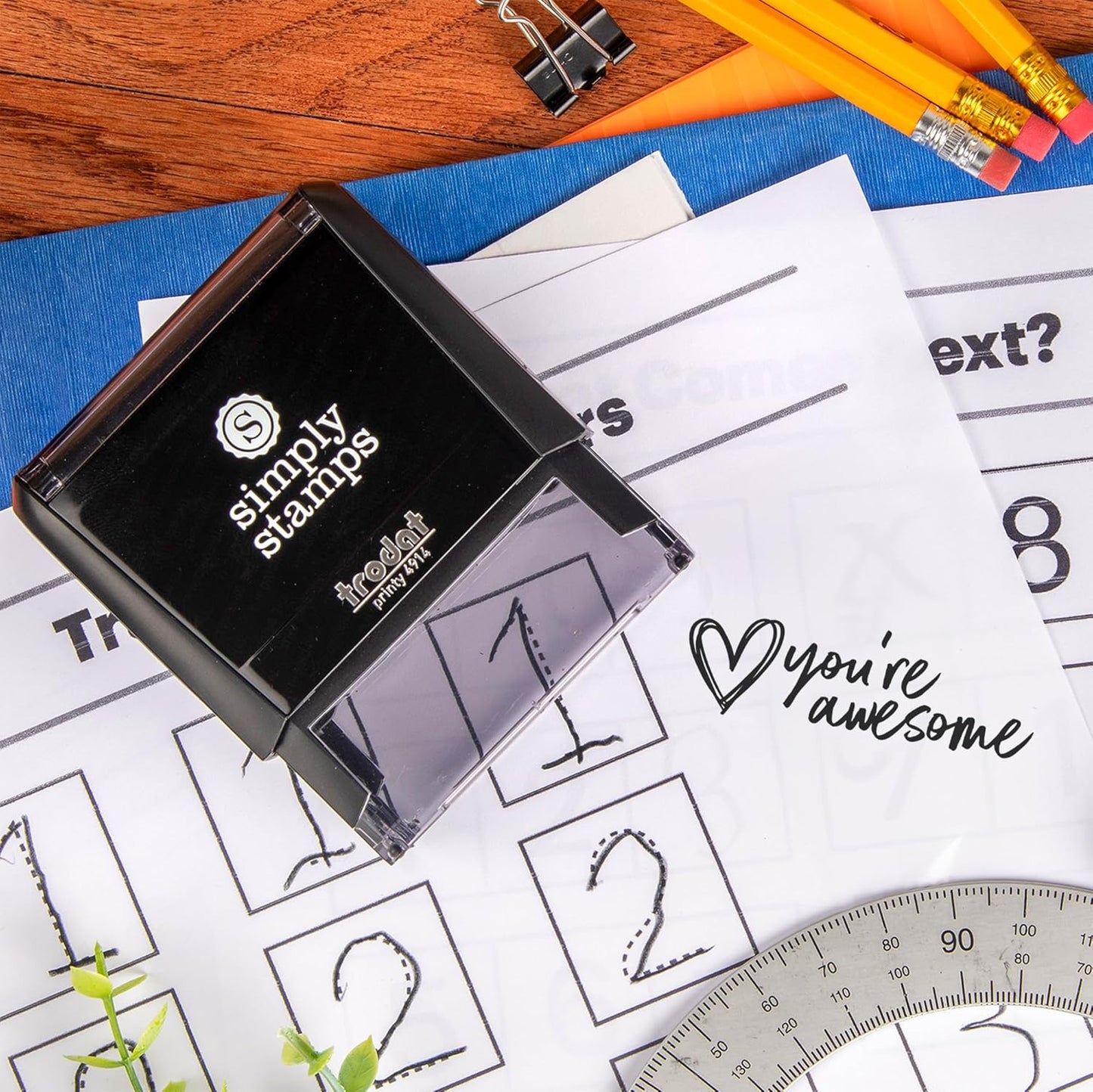 Custom Self-Inking Custom Stamps | 49 Designs | Fun Classroom Phrases | Grading Made Easy | Book Stamps (You're Awesome, Large)