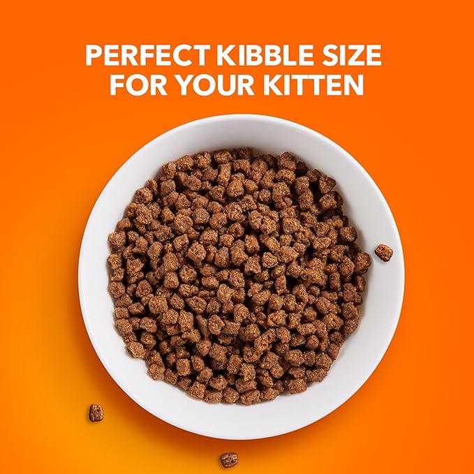 IAMS Proactive Health Healthy Kitten Dry Cat Food with Chicken, 7 lb. Bag