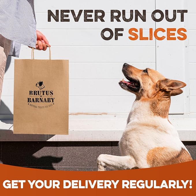 Sweet Potato Slices For Dogs - Soft & Chewy - Single Ingredient Dog Treats, Healthy 100% Natural Sweet Potato Dog Treats With No Added Preservatives - Softer & Great For Puppies Or Senior Dogs (14oz)