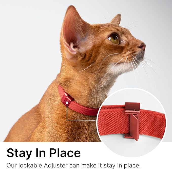 Safety Cat Collar Pro - U.S. IDA Gold Awarding Design, Elastic Quick Release Cat Collar with Buckle Non Breakaway - Lightweight for Kitten All Small Large Cats (Vivid Red, M 7.9-15.7")