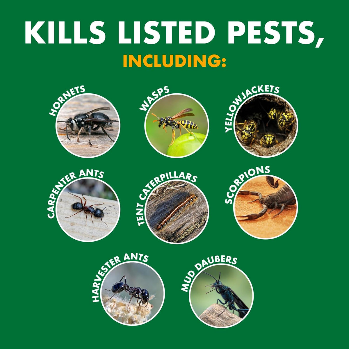 Spectracide Wasp & Hornet Killer Aerosol Kills Wasps, Hornets And Yellow Jackets On Contact & Eliminates The Nest, 12 Pack