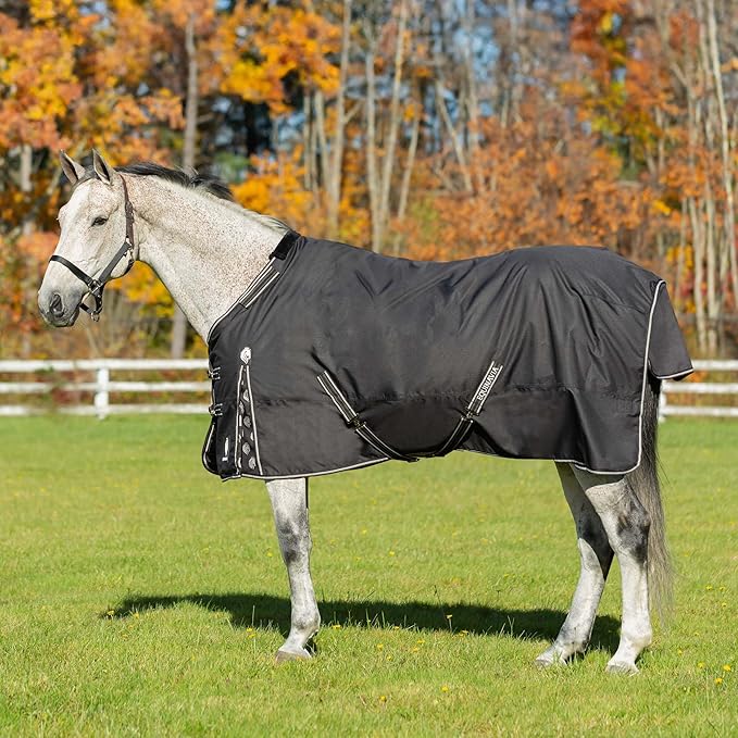 Equinavia Norse Lightweight 100g Fill Horse Rain Blanket | Waterproof Turnout Sheet - Black - 66 in - Black - 69 in