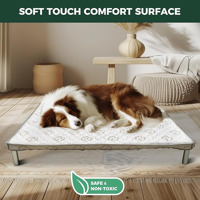 FXW TitanNest Chew-Proof Elevated Dog Bed, Raised Cot for Indoor/Outdoor/Camping Use, Durable & Washable Padded Pet Bed with Exclusive Cover for Extra-Large Dogs, 56.0" L x 31.0" W x 7.3" H, Gray