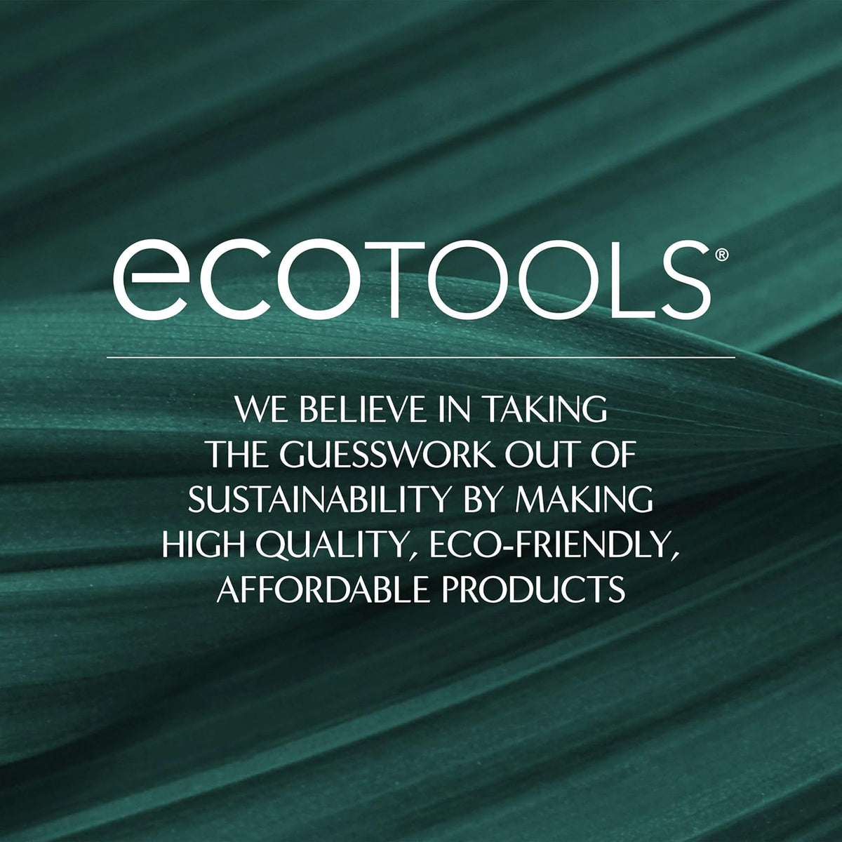 EcoTools Dry Body Brush, Cruelty-Free Bristles Exfoliate & Smooth Skin, Dry Brushing Removes Flaky Skin, May Help Improve Circulation & Tone, Eco-Friendly Skincare Tool, Vegan & Cruelty-Free, 1 Count