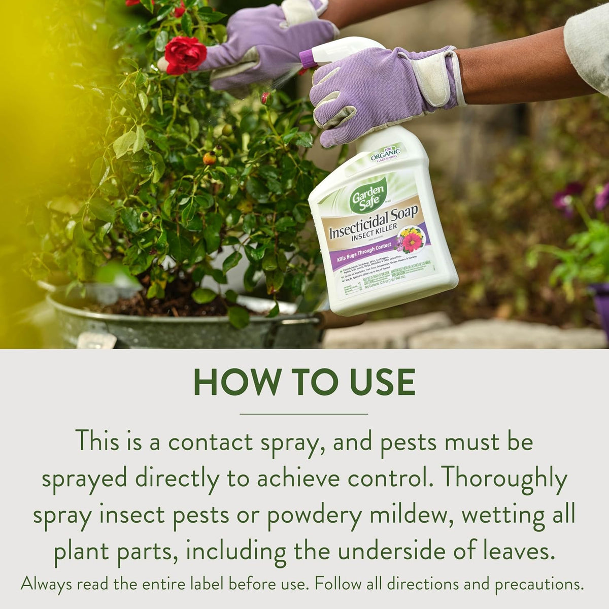 Garden Safe 32 oz. Insecticidal Soap Ready-to-Use, 1 Count (Pack of 1)