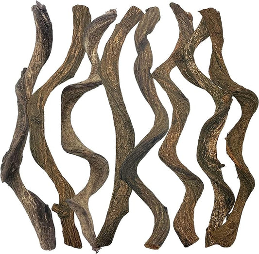 Reptile Decor Natural Forest Branch Terrarium Habitat Decoration Lizard Climbing Tree Branch for Bearded Dragon Gecko Snake Frog Chameleon Spider 8PCS