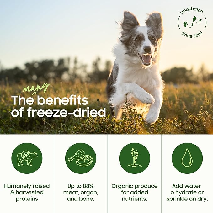 smallbatch Pets Freeze-Dried Raw Dog Food – Duck Recipe – 7oz Small Bites – Grain Free, High Protein, Complete Meal or Topper – Made in USA with Organic Produce & Humanely Raised Duck