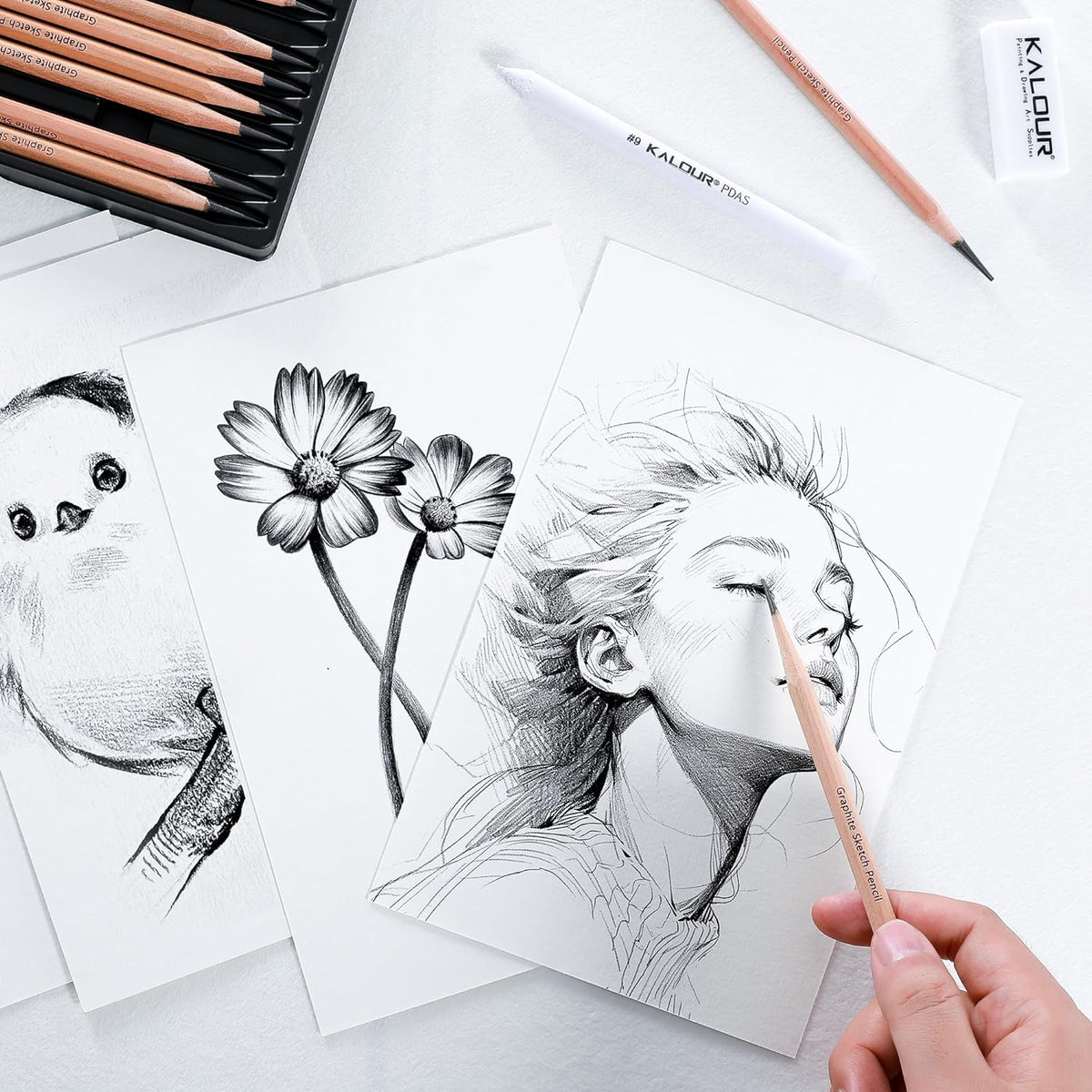 KALOUR 18-Piece Professional Sketch Pencil Set - Includes 5H to 14B Pencils, Vinyl Eraser, Kneaded Eraser,Sharpener and Paper Blending Stump - Ideal for Artists and Beginners
