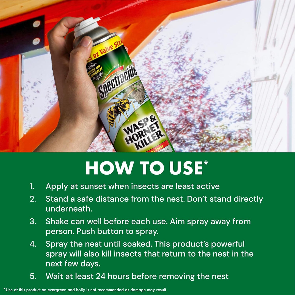 Spectracide Wasp & Hornet Killer Aerosol Kills Wasps, Hornets And Yellow Jackets On Contact & Eliminates The Nest, 12 Pack