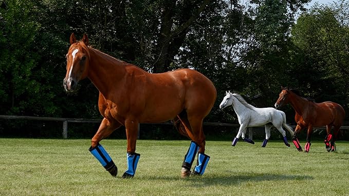 Warrior Fly Boots for Donkeys, Ponys, or Yearlings - Breathable Mesh Horse Boots for Fly Protection & Leg Comfort - Set of 4 (Mighty Warrior, Red)