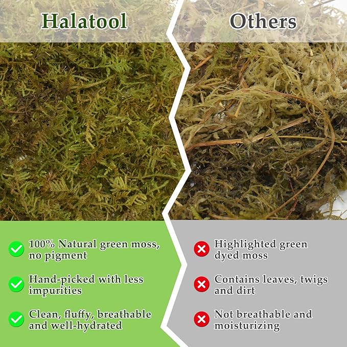 Halatool 5OZ Natural Sphagnum Moss for Reptiles- 8QT Green Moss for Terrarium Plants Long Fiber Reptile Moss for Leopard Gecko Snake Hamsters Tortoises Frogs Lizards Salamanders
