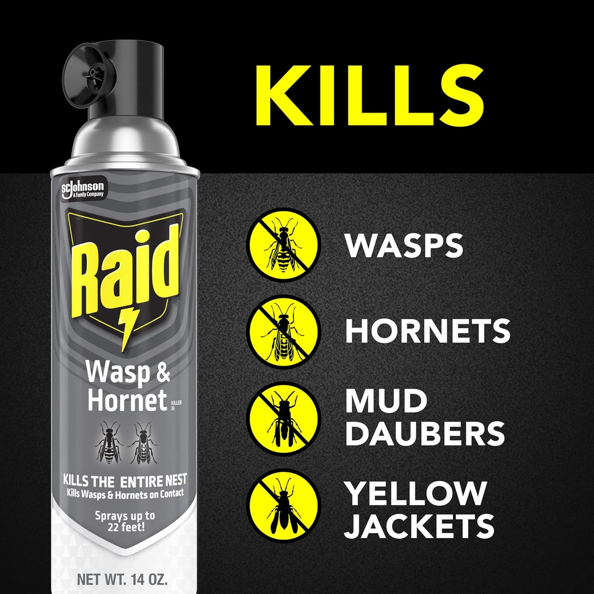 Raid Wasp & Hornet Killer Spray, Bug Killer Kills the Entire Nest, 14 Oz, 2 Count