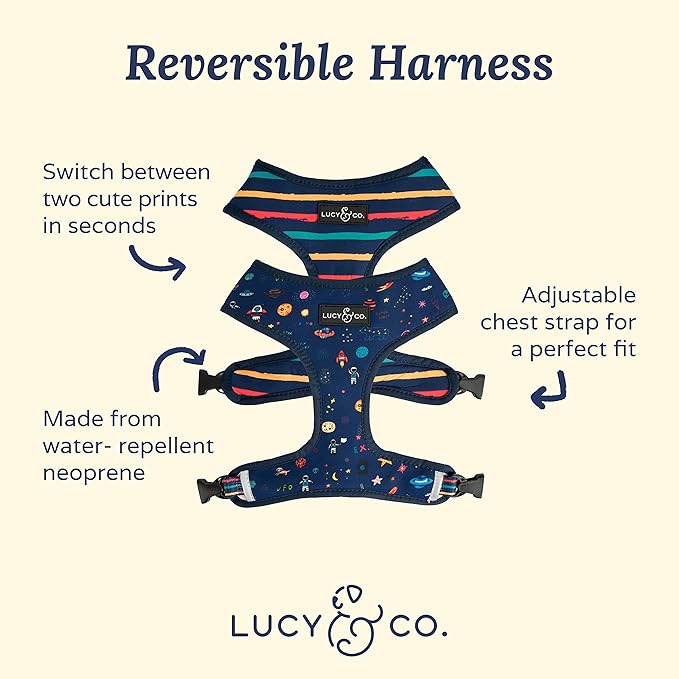 Lucy & Co. Space Doodle, Cute Reversible Dog Harness Walking Halter - Best Designer Pet Harnesses for Medium Dogs - Padded Adjustable Vest for Easy Walking (X-Large)