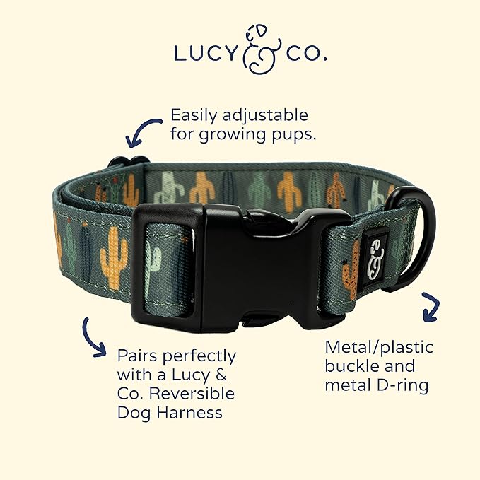 Lucy & Co. Looking Sharp Dog Collar - Durable Lightweight Designer Collar for Pets - Adjustable Metal Safety Buckle - Green Gold Cactus - Small