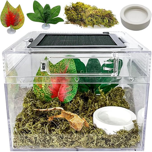Reptile Terrarium, Jumping Spider Enclosure Starter Kit, Leopard Gecko Habitat Container, 8"x8"x6"Reptile Tank for Tarantula, Hermit Crab, Insect, Fish, Frog, Small Bearded Dragon, Lizard