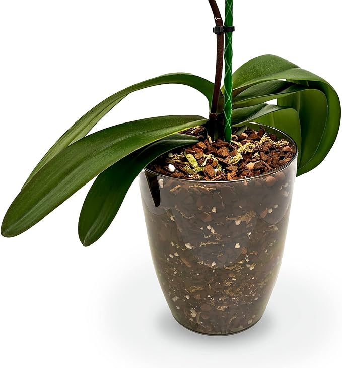Premium Orchid Soil Mix by Gardenera - Hand Mixed New Zealand Pinus Radiata 100% Natural Potting Soil Bark Mix - for Phalaenopsis Orchid - 4 Quart - Made in USA