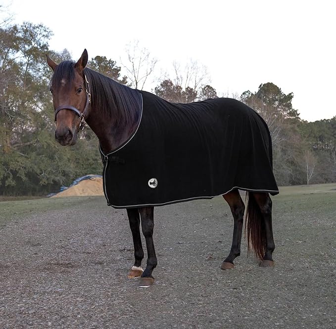 Jeffers Equine Elite Fleece Horse Cooler Blanket, 81 Inch – Soft, Adjustable Fit, Lightweight, Easy Care, Moisture Wicking Cooling Sheet with Surcingle for Post Exercise, Travel for Horses – Black