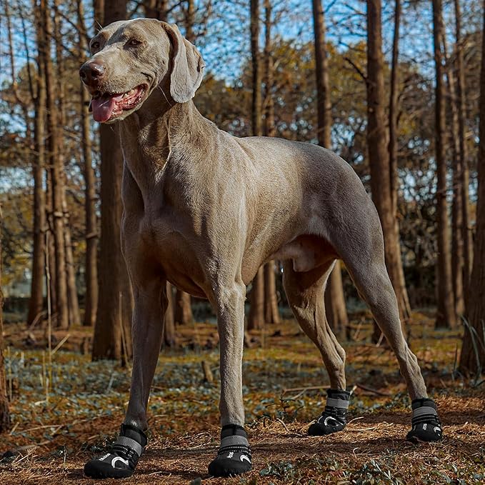 Dog Shoes, Waterproof Dog Boots & Paw Protectors with Anti-Slip Sole, 4pcs/Set Pet Dog Booties, Reflective Dog Shoes for Small Medium Large, Winter Snowy Summer Hot Pavement (Black, 2# (2XS))