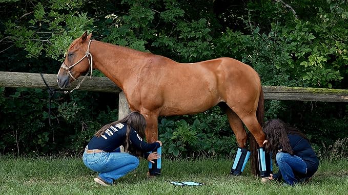 Warrior Fly Boots for Donkeys, Ponys, or Yearlings - Breathable Mesh Horse Boots for Fly Protection & Leg Comfort - Set of 4 (Mighty Warrior, Red)