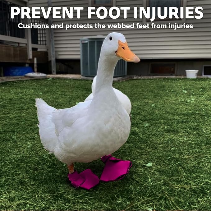 Duck Shoes for Injured Feet – Protective Neoprene Footwear for Ducks, Protective Shoes for Birds with Injured feet, Bumblefoot Relief - XL, 5.75” Max. Inside Width - Pink