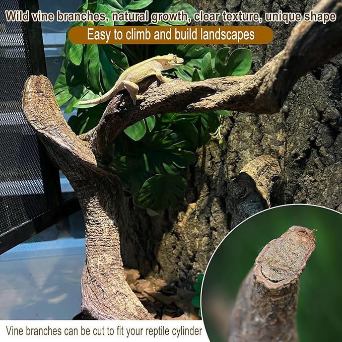 Reptile Decor Natural Forest Branch Terrarium Habitat Decoration Lizard Climbing Tree Branch for Bearded Dragon Gecko Snake Frog Chameleon Spider 3PCS