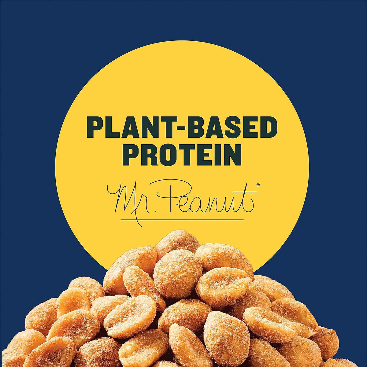PLANTERS Honey Roasted Peanuts, Dry Roasted Peanuts, Party Snack, Plant-Based Protein, After School Snack, Sweet and Salty, Salted Nuts, Sea Salt & Honey, Snacks for Adults, Kosher, 16oz Jar