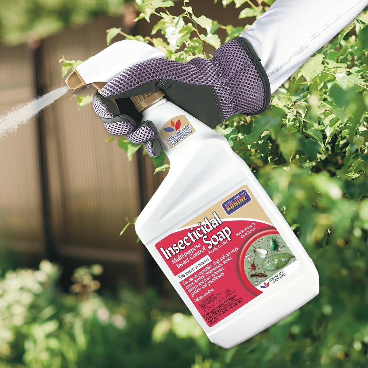 Bonide Insecticidal Soap, 32 oz Ready-to-Use Spray Multi-Purpose Insect Control for Organic Gardening Indoor and Outdoor