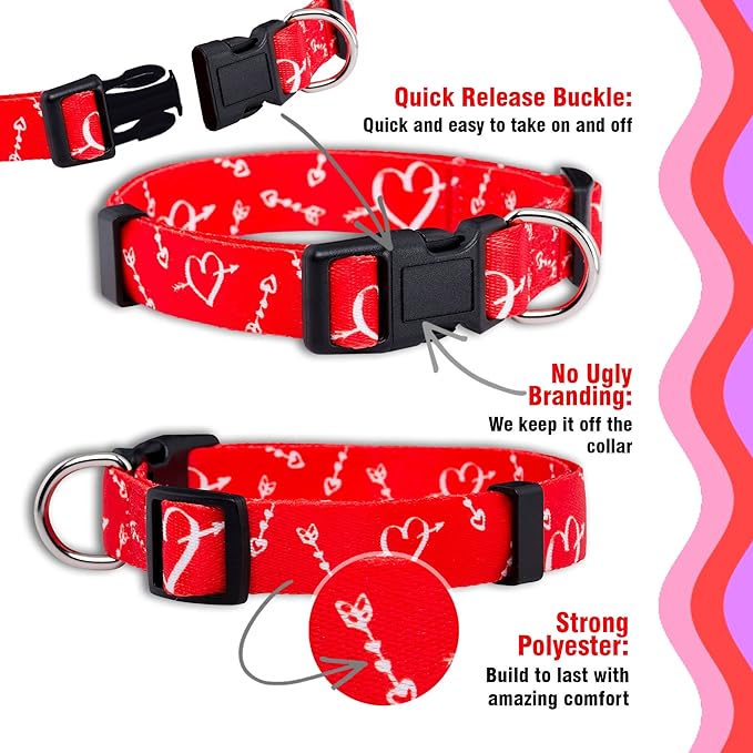 Native Pup Valentine’s Dog Collar- Valentines Day Pet Collars- Valentine Girly Hearts- Pink Red Heart- Cute Boy Girl Puppy Gift- Adjustable for Small, Medium, Large Breeds (Cupid's Arrows, Small)