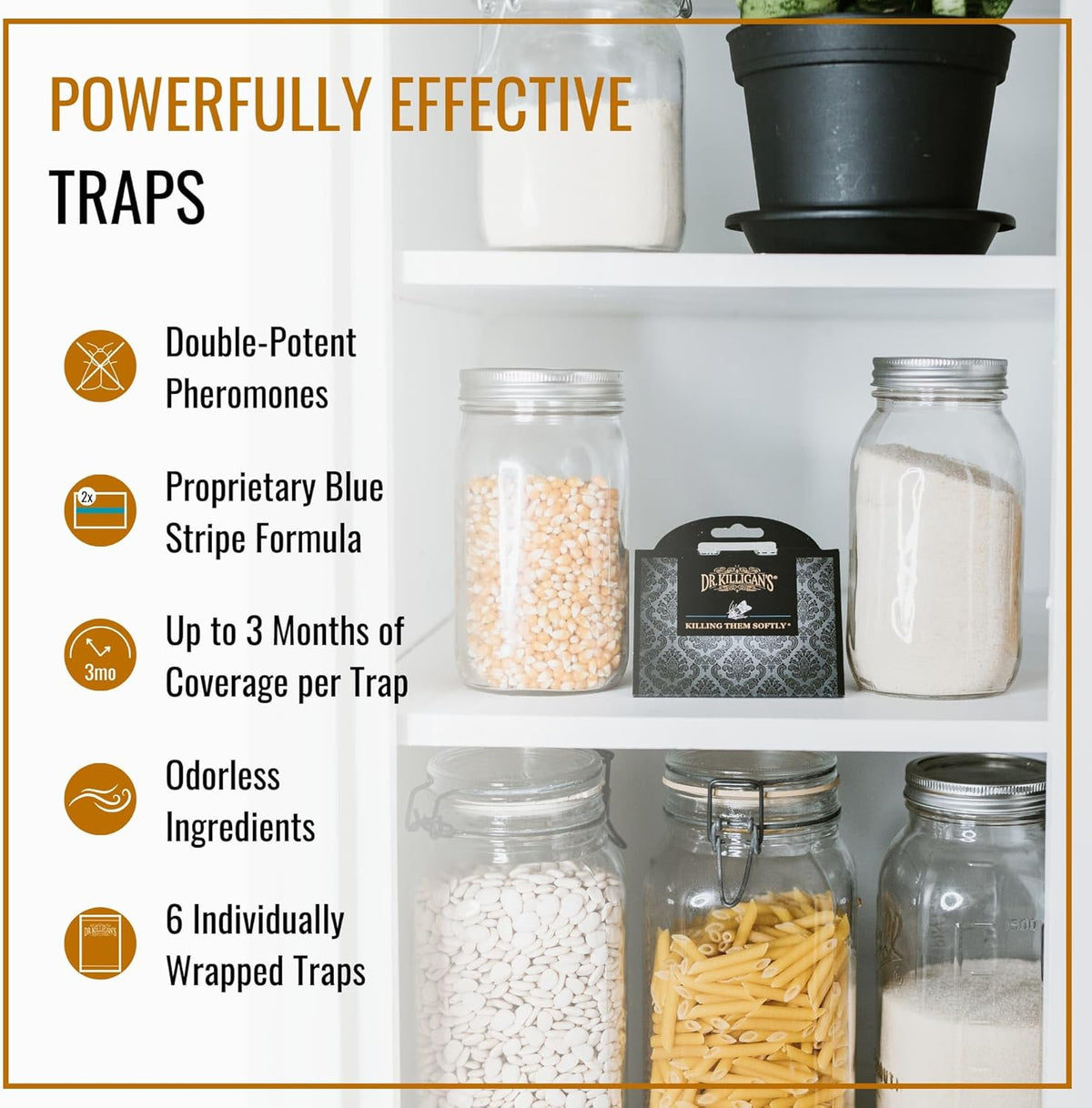 Dr. Killigan's Premium Double Potent Pantry Moth Traps with Pheromones Prime, Sticky Indian Meal Moth Traps for Kitchen, How to Get Rid of Moths in House (6 Pack, Black)