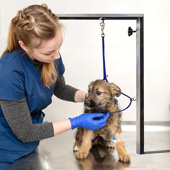 Jelly Pet Grooming Loop for Dogs, Groomers Helper, BioThane Material is Easy to Clean, Waterproof & Durable Noose Loop, Fits Most Pet Grooming Tubs/Tables/ 3/8” x 24” W/Ring Hot Pink