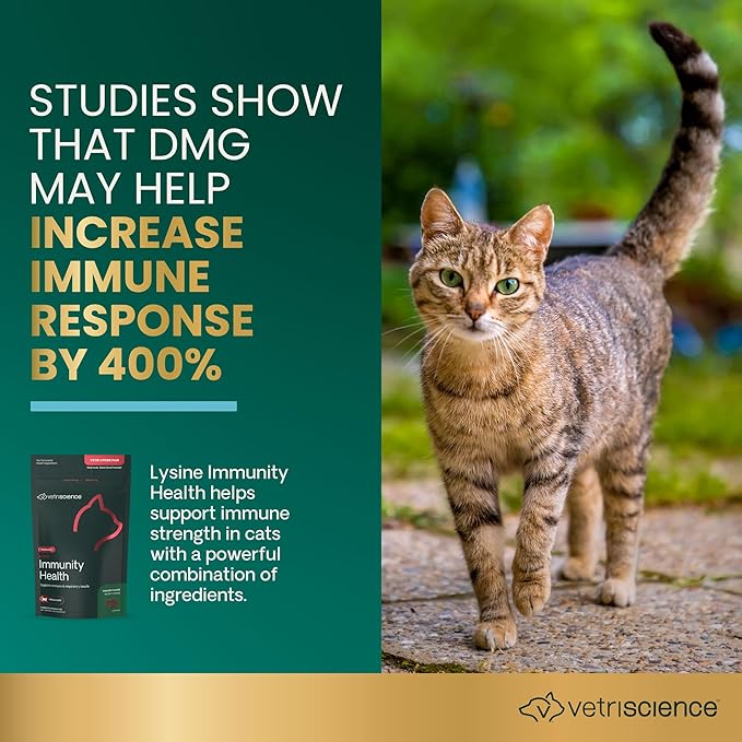 VetriScience Lysine Immunity Health Chews, 250 mg Lysine Plus Immune Supplement for Cats and Kittens with Allergies, Sneezing, Runny Nose and Watery Eyes, Chicken, 90 Count