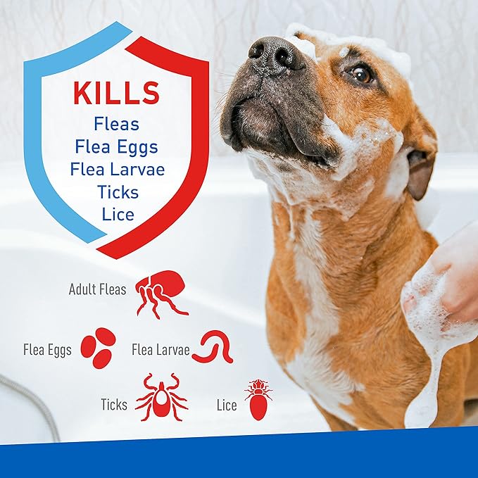 Plus Flea & Tick Shampoo with Precor for Cats, Kittens, Dogs & Puppies Over 12 Weeks Of Age Sensitive Skin Flea Treatment | Kills Adult Fleas, Flea Eggs, Ticks, and Lice| 12 Ounces