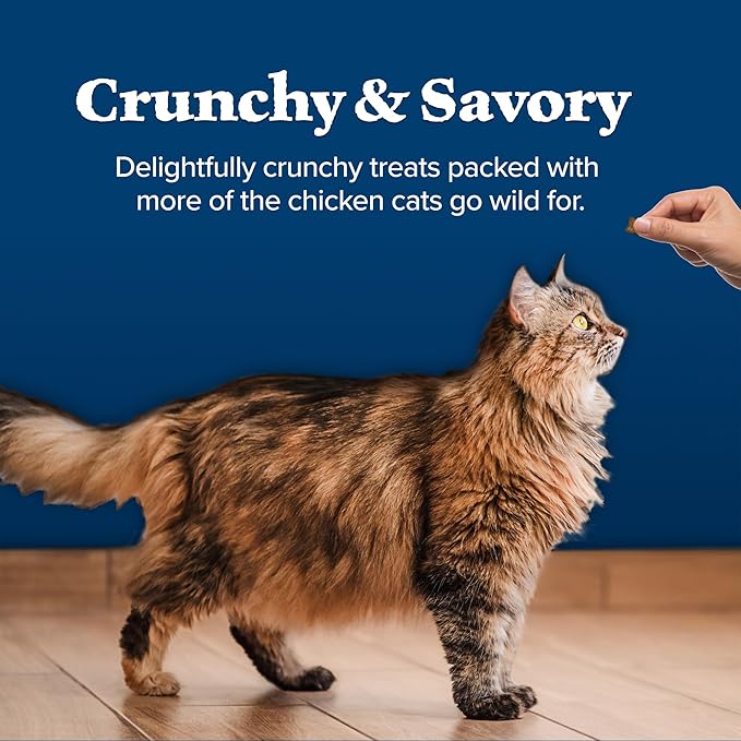 Blue Buffalo Wilderness High Protein Crunchy Cat Treats, Made with Natural Ingredients, Tasty Salmon Flavor, 2-oz Bag (Pack of 12)