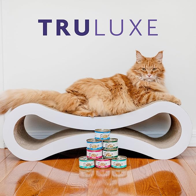 Weruva Truluxe Cat Food, Glam 'N Punk with Lamb & Duck in Gelée, 3oz Can (Pack of 24)