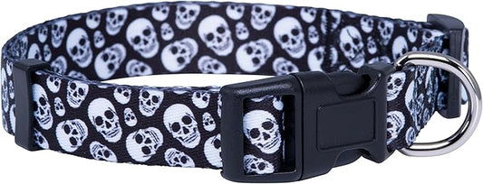 Native Pup Skull Dog Collar for Halloween (Large, Skulls)