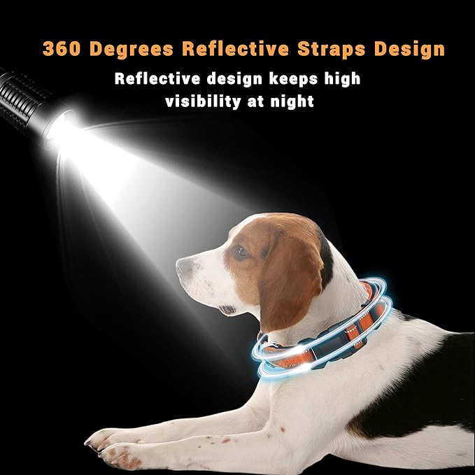 2 Pack Reflective Dog Collar with Safety Locking Buckle, Adjustable Soft Breathable Comfortable Nylon Pet Collar for Small, Medium and Large Dogs, Orange, S