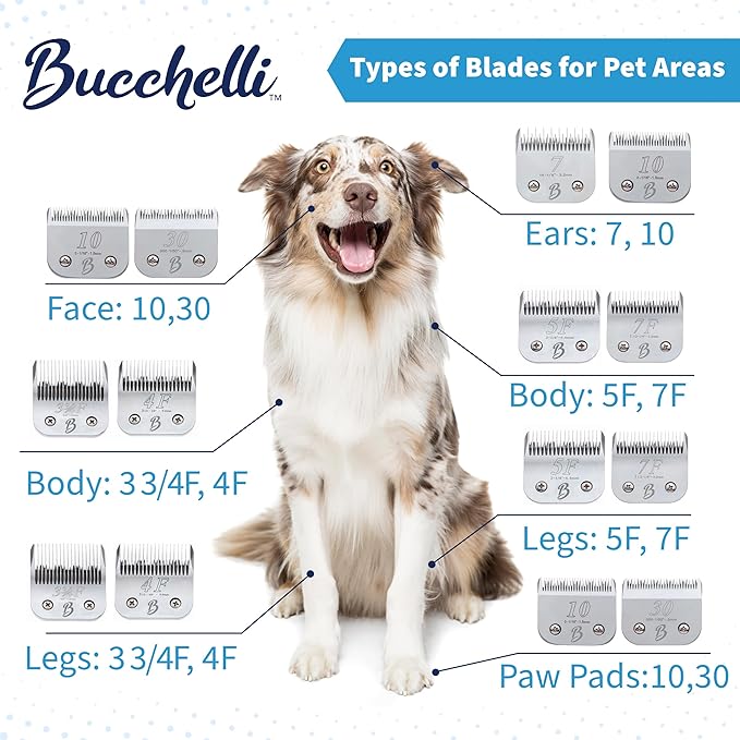 Detachable A Series 4f Blade Dog Grooming Cuts Length 3 3/8" - 9.6mm Japanese High Carbon Steel Dog Grooming Blade Supplies | Detachable Blade Clippers (Compatible A5 Series(B4F)