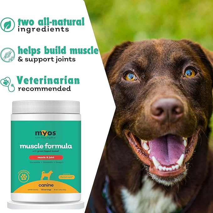 MYOS Muscle & Joint Powered by Fortetropin with Green Lipped Mussel (396 gr)
