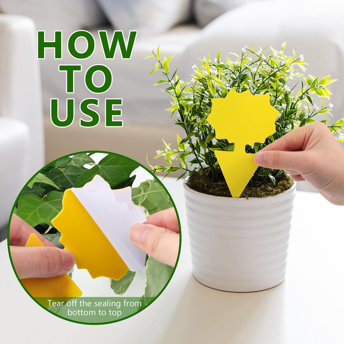 Landisun Fruit Fly Traps 48PCS Fungus Gnat-Traps for Indoor-Outdoor Yellow Fruit-Fly Sticky-Trap Plants Flying Bug Insects Traps